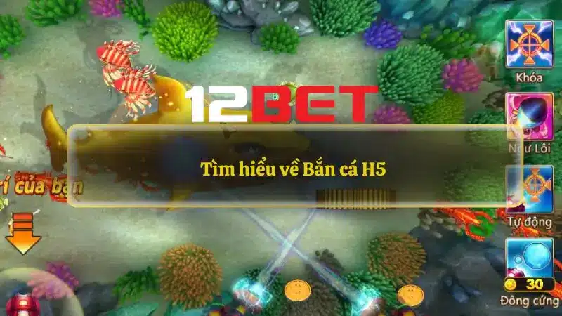 Giới thiệu game bắn cá h5 12bet